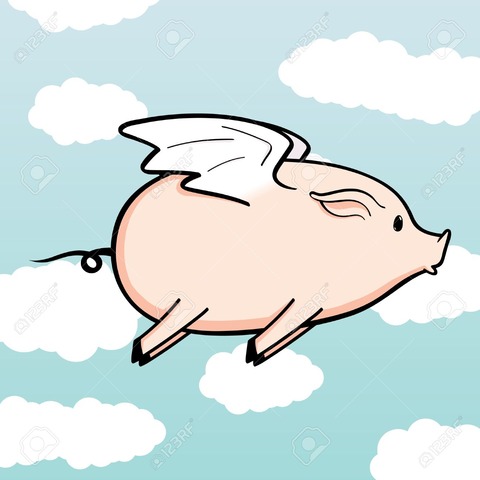 12093487-Flying-Pig-Stock-Photo